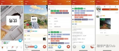 社交通讯产品 app榜单第三 探探